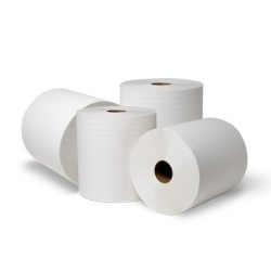 TOALHA SECA MAOS ROLO 2 FLS 100 MTS RTL R/C LAM. C/ 12 ROLOS (AUTOCORTANTE)