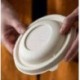 TAMPA P/FORMA DE POLPA NATURAL COMPOSTAVEL RED. 21X3CM C/ 75 UND PUL52932PUL