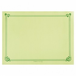 TOALHETES DE MESA 48 G/M2 31x43 CM VERDE ANÍS CELULOSE (500 UNID.)